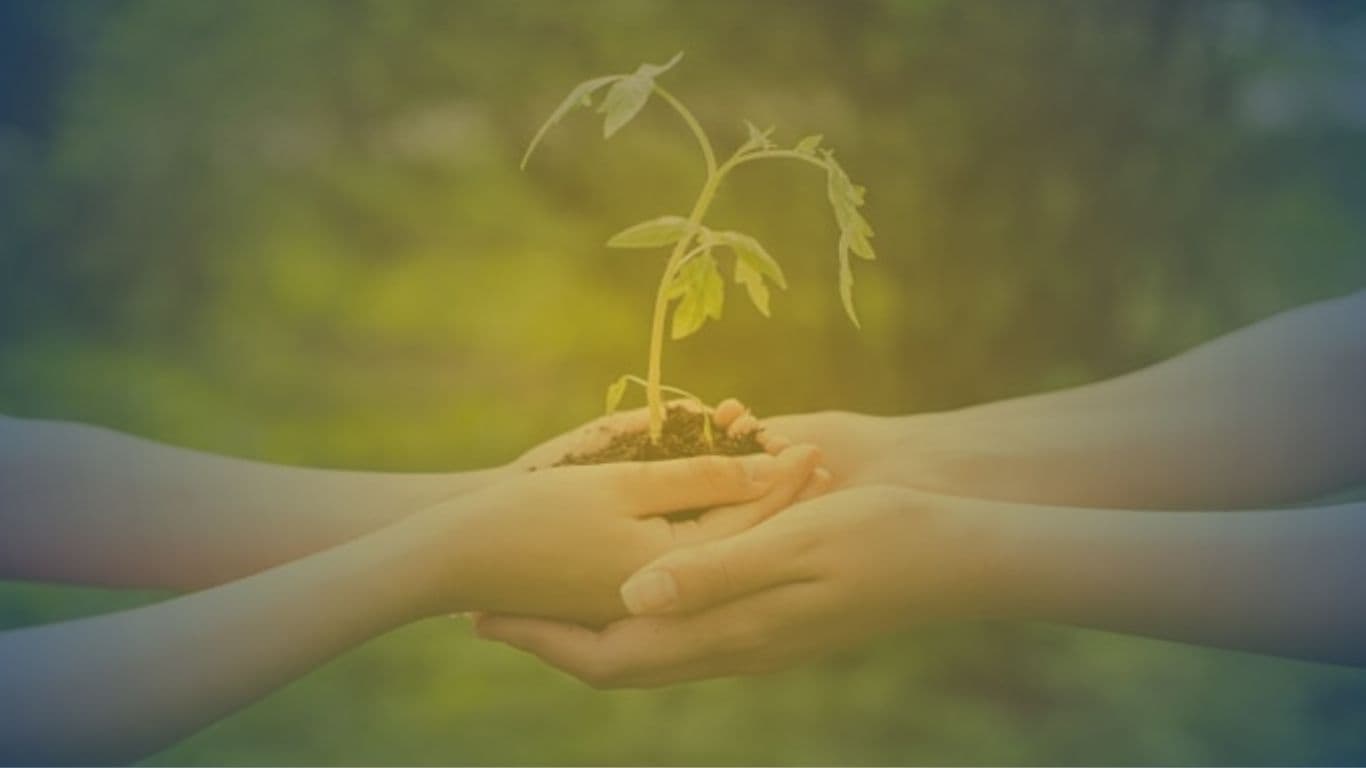 About Parakletus